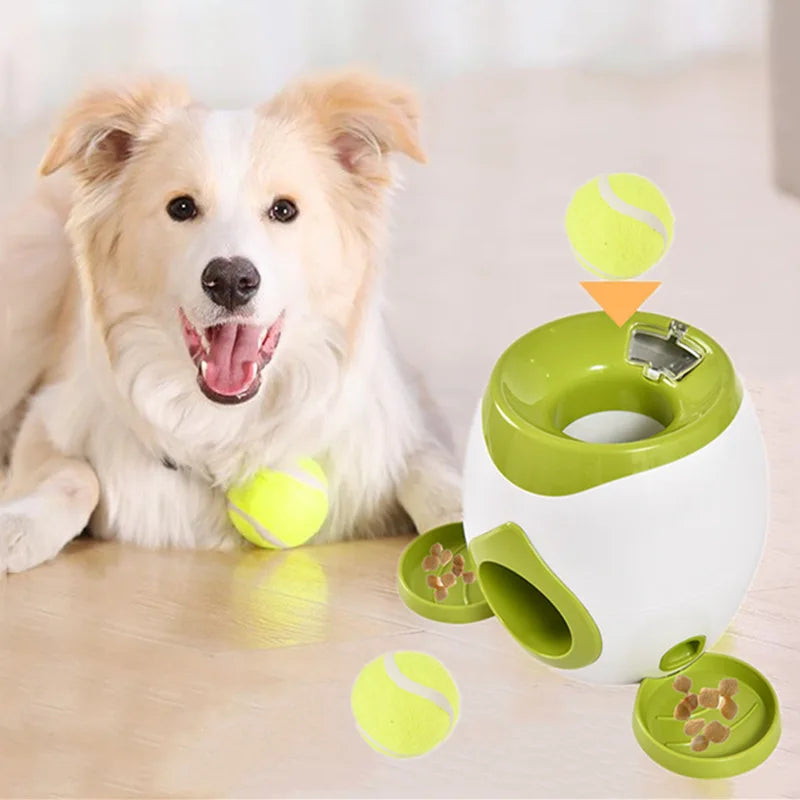 Interactive Smart Dog Feeder
