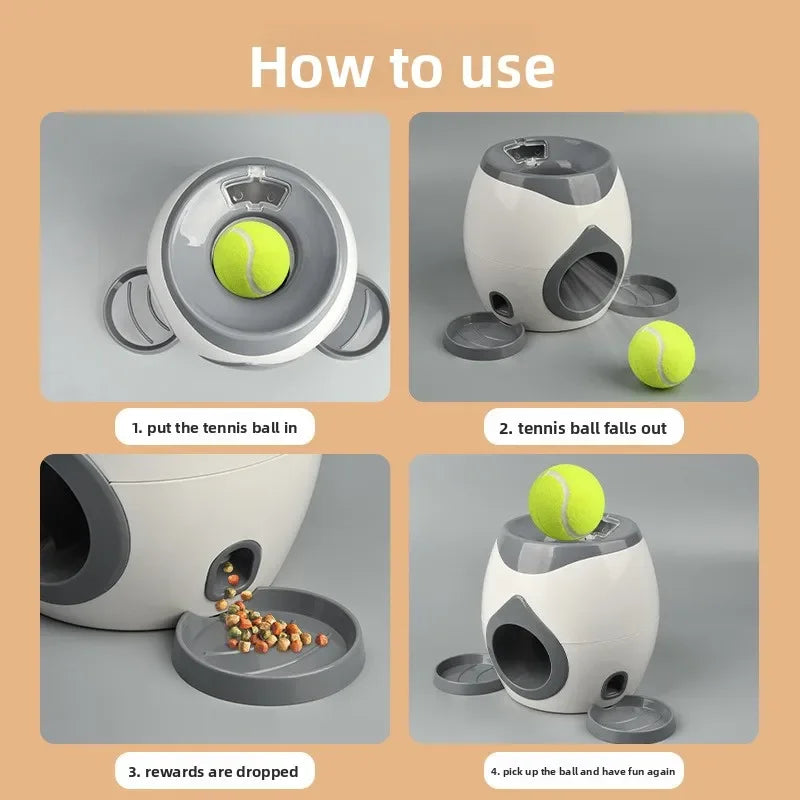Interactive Smart Dog Feeder