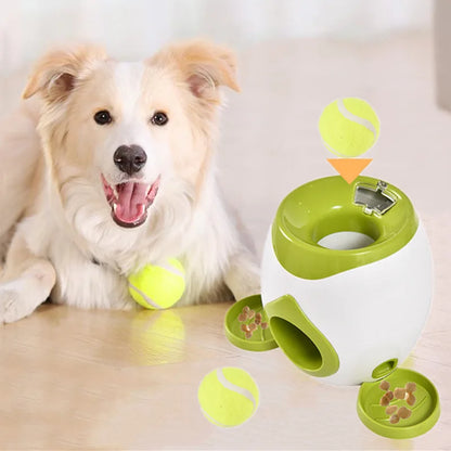 Food Reward Pet Ball Shooter