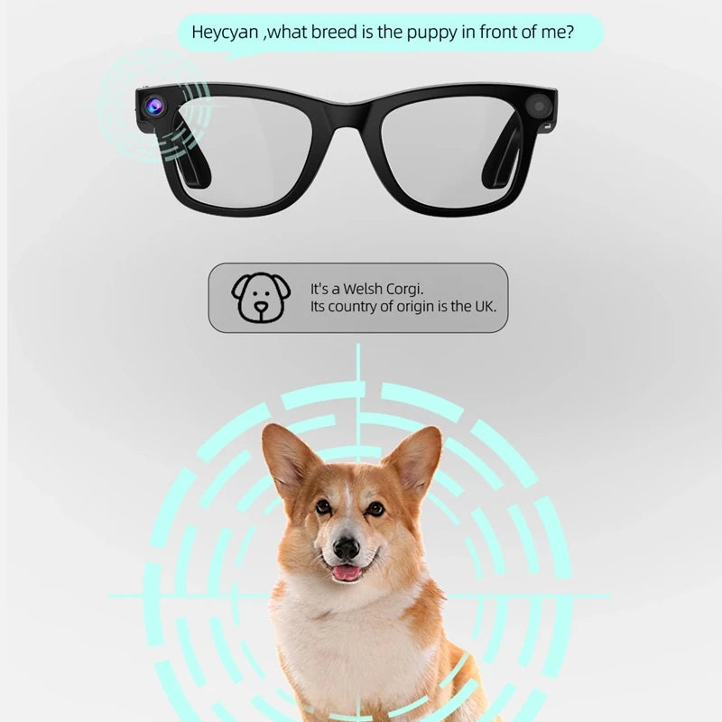 AI Voice Translation 4K Transition Lenses Smart Eyewear