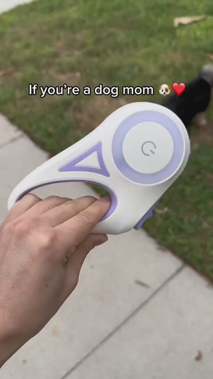 Retractable LED Dog Leash, Large/X-Large